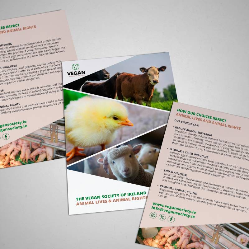 Animal Rights Information Leaflet